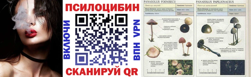 Псилоцибиновые грибы ЛСД хочу наркоту Димитровград