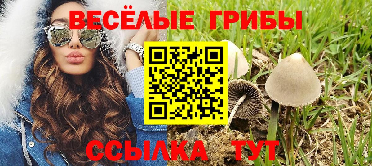 Димитровград  Галлюциногенные грибы ЛСД  Псилоцибиновые грибы ЛСД  Вход с VPN 