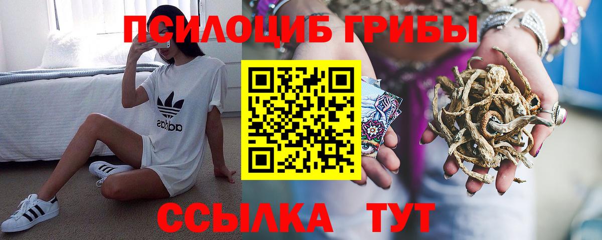 Галлюциногенные грибы Cubensis Димитровград