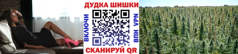 Бошки Шишки план Димитровград